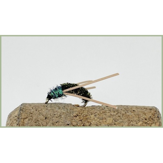 Peacock Beetle Troutflies UK